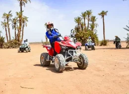 Descover morocco