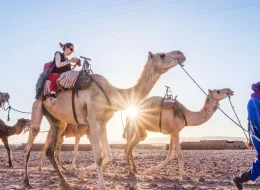 Descover morocco