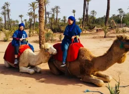Descover morocco