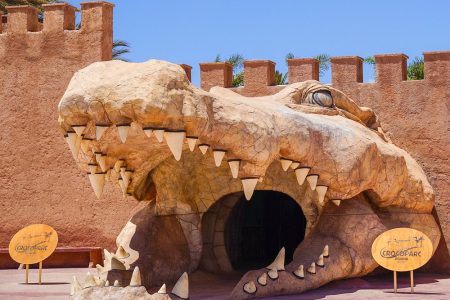 Crocoparc Tour from Agadir: Hotel Transfers + Tickets