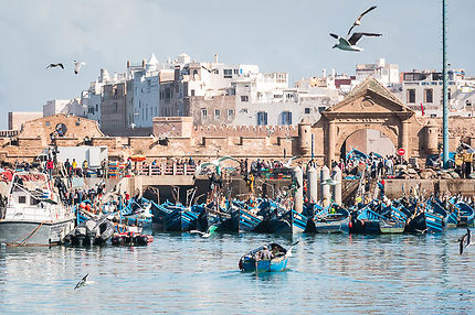 <span>Day 7: ESSAOUIRA / MARRAKESH